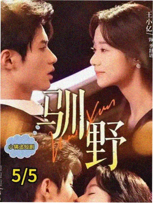 迷雾森林 高清电视剧在线观看